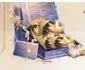 Package Image